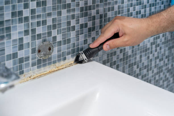 Best Mold Remediation Experts  in Arlington, NE